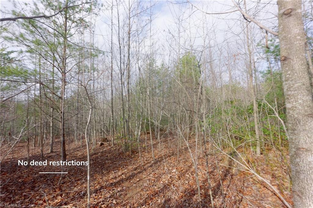0 Lisa Lane Mount Airy, NC 27030 - Photo 20 of 42