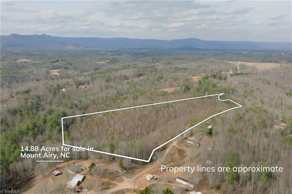 0 Lisa Lane Mount Airy, NC 27030 - Photo 2 of 42