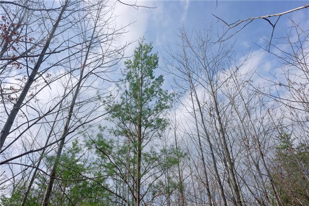 0 Lisa Lane Mount Airy, NC 27030 - Photo 21 of 42
