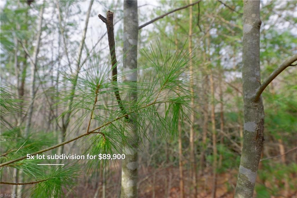 0 Lisa Lane Mount Airy, NC 27030 - Photo 22 of 42