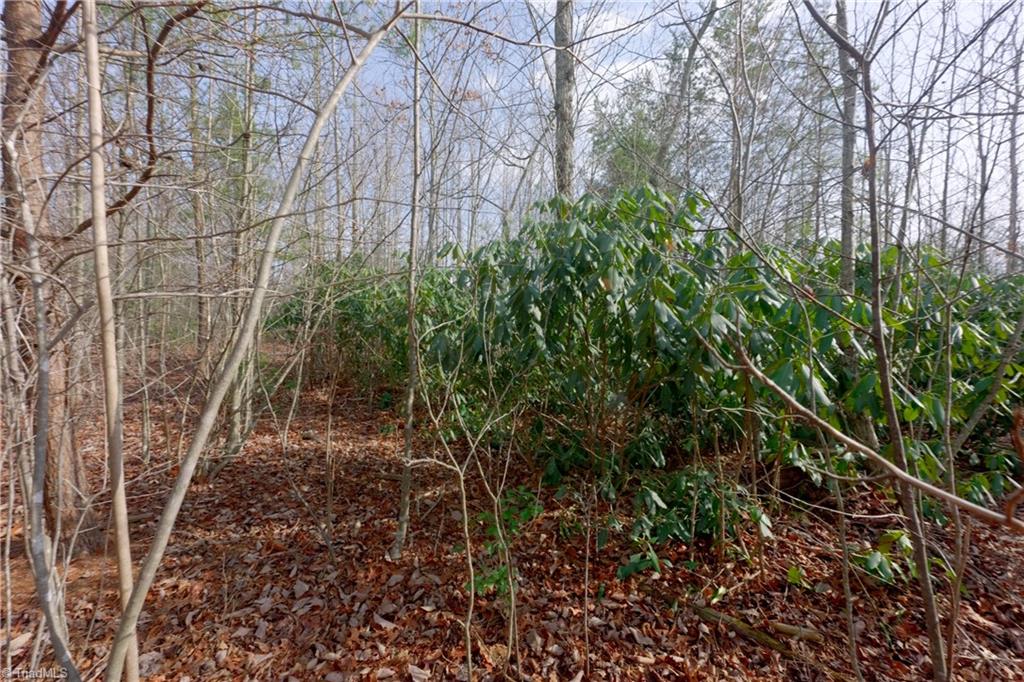 0 Lisa Lane Mount Airy, NC 27030 - Photo 23 of 42