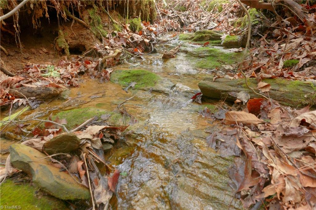 0 Lisa Lane Mount Airy, NC 27030 - Photo 24 of 42