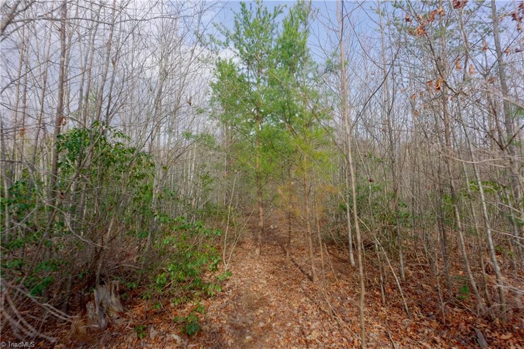 0 Lisa Lane Mount Airy, NC 27030 - Photo 28 of 42