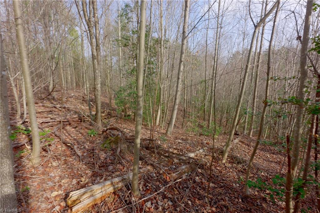 0 Lisa Lane Mount Airy, NC 27030 - Photo 29 of 42