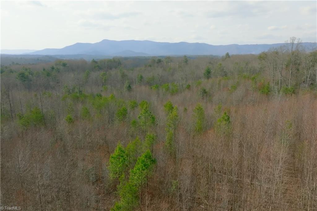 0 Lisa Lane Mount Airy, NC 27030 - Photo 31 of 42