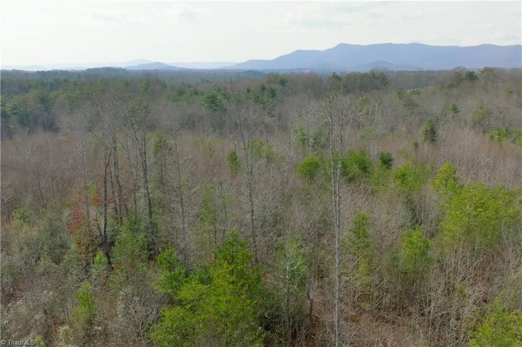 0 Lisa Lane Mount Airy, NC 27030 - Photo 9 of 42