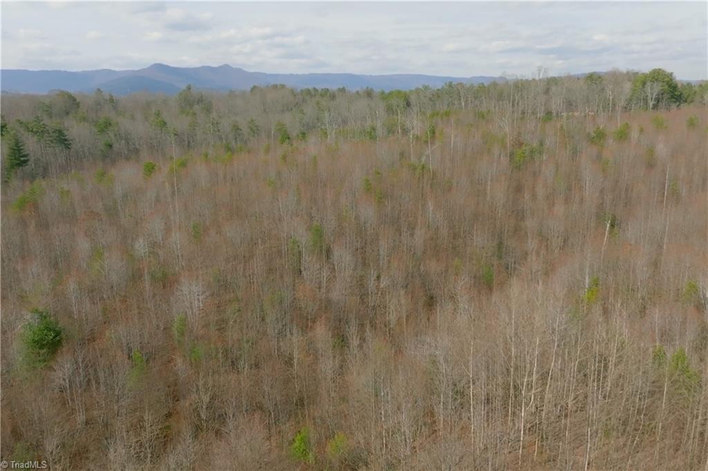 0 Lisa Lane Mount Airy, NC 27030 - Photo 10 of 42