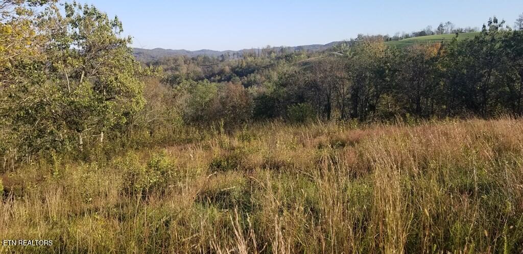 Lot 7 Swan Ridge Road Celina, TN 38551 - Photo 11 of 35 201352_10