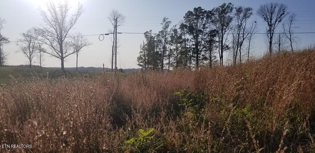 Lot 7 Swan Ridge Road Celina, TN 38551 - Photo 12 of 35 201352_11