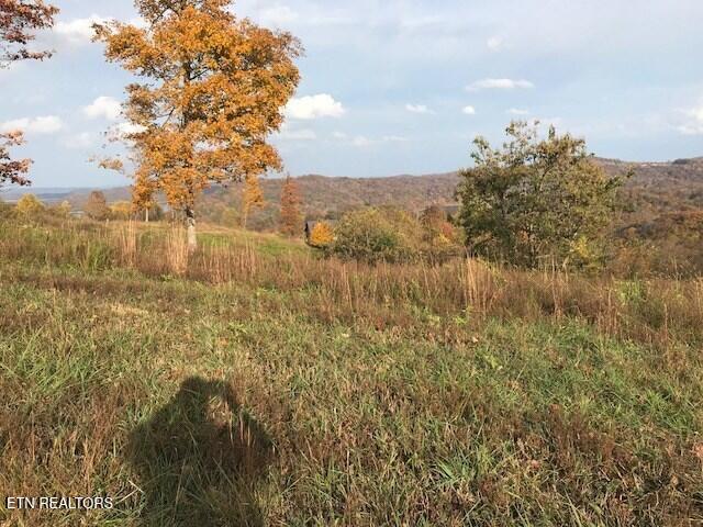 Lot 7 Swan Ridge Road Celina, TN 38551 - Photo 18 of 35 201352_18