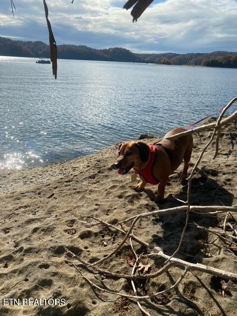 Lot 7 Swan Ridge Road Celina, TN 38551 - Photo 30 of 35 201352_30