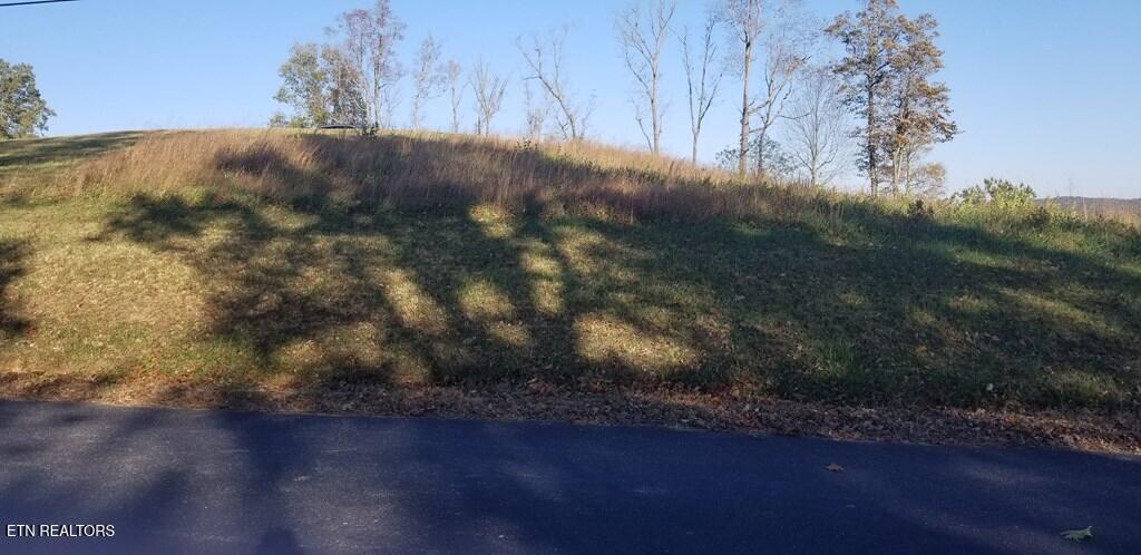 Lot 7 Swan Ridge Road Celina, TN 38551 - Photo 6 of 35 201352_5