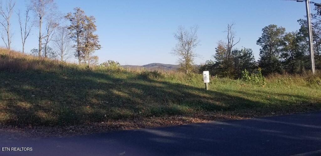 Lot 7 Swan Ridge Road Celina, TN 38551 - Photo 7 of 35 201352_6