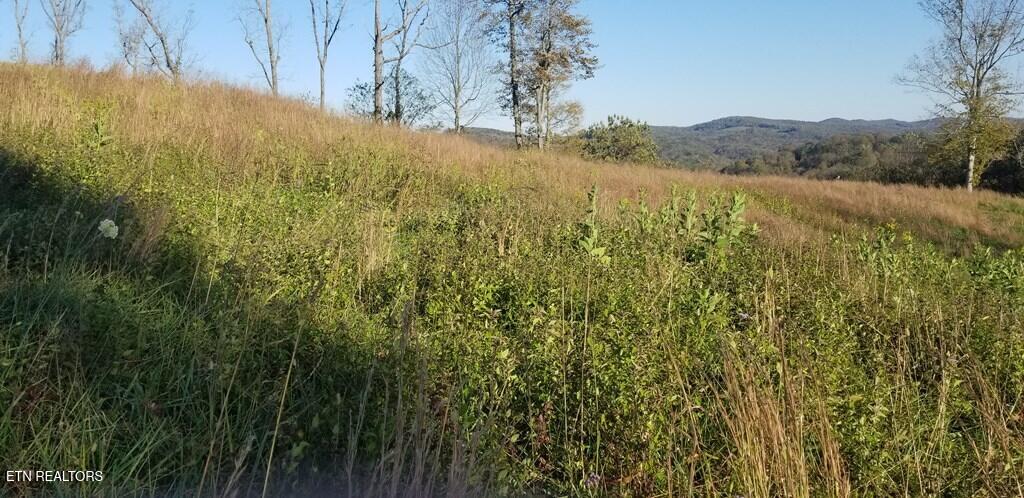 Lot 7 Swan Ridge Road Celina, TN 38551 - Photo 8 of 35 201352_7