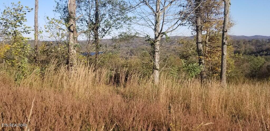 Lot 7 Swan Ridge Road Celina, TN 38551 - Photo 9 of 35 201352_8