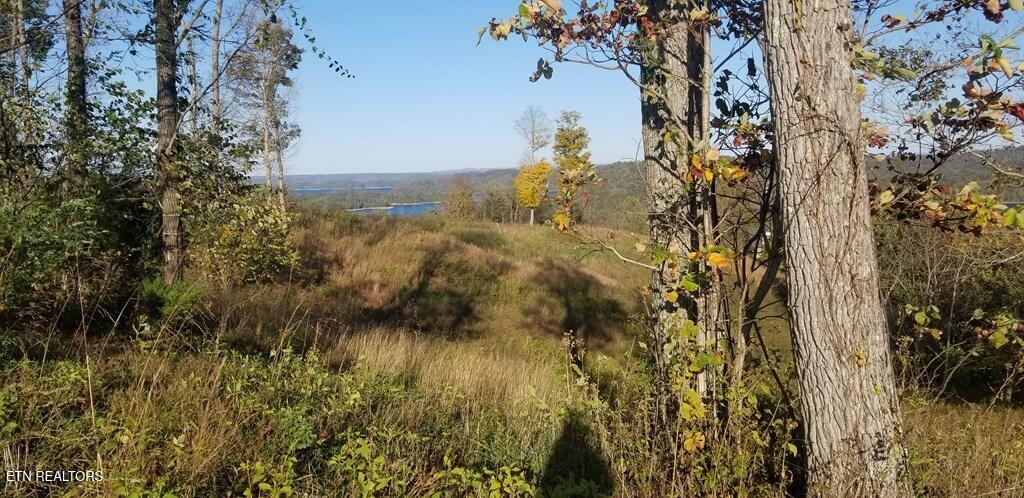 Lot 7 Swan Ridge Road Celina, TN 38551 - Photo 10 of 35 201352_9