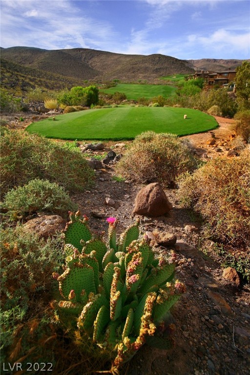 631 Alpine Summit Henderson, NV 89012 - Photo 15 of 31