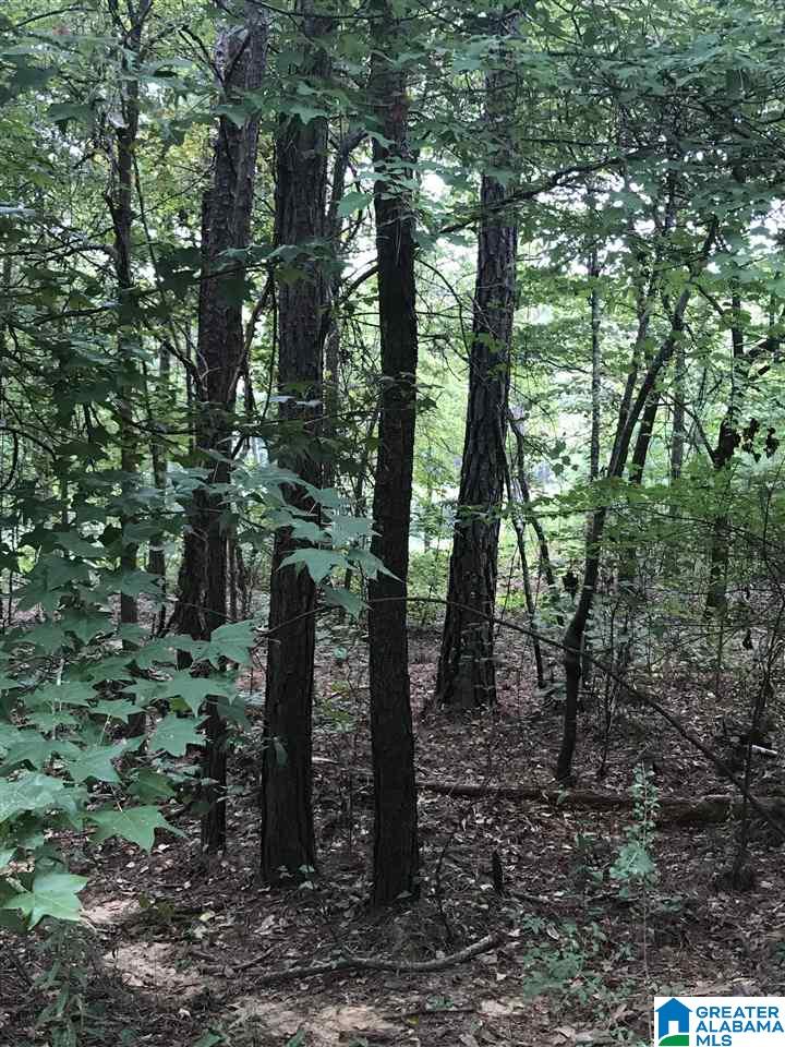 Lakeside Lane, Unit 25 Alpine, AL 35014 - Photo 1 of 1
