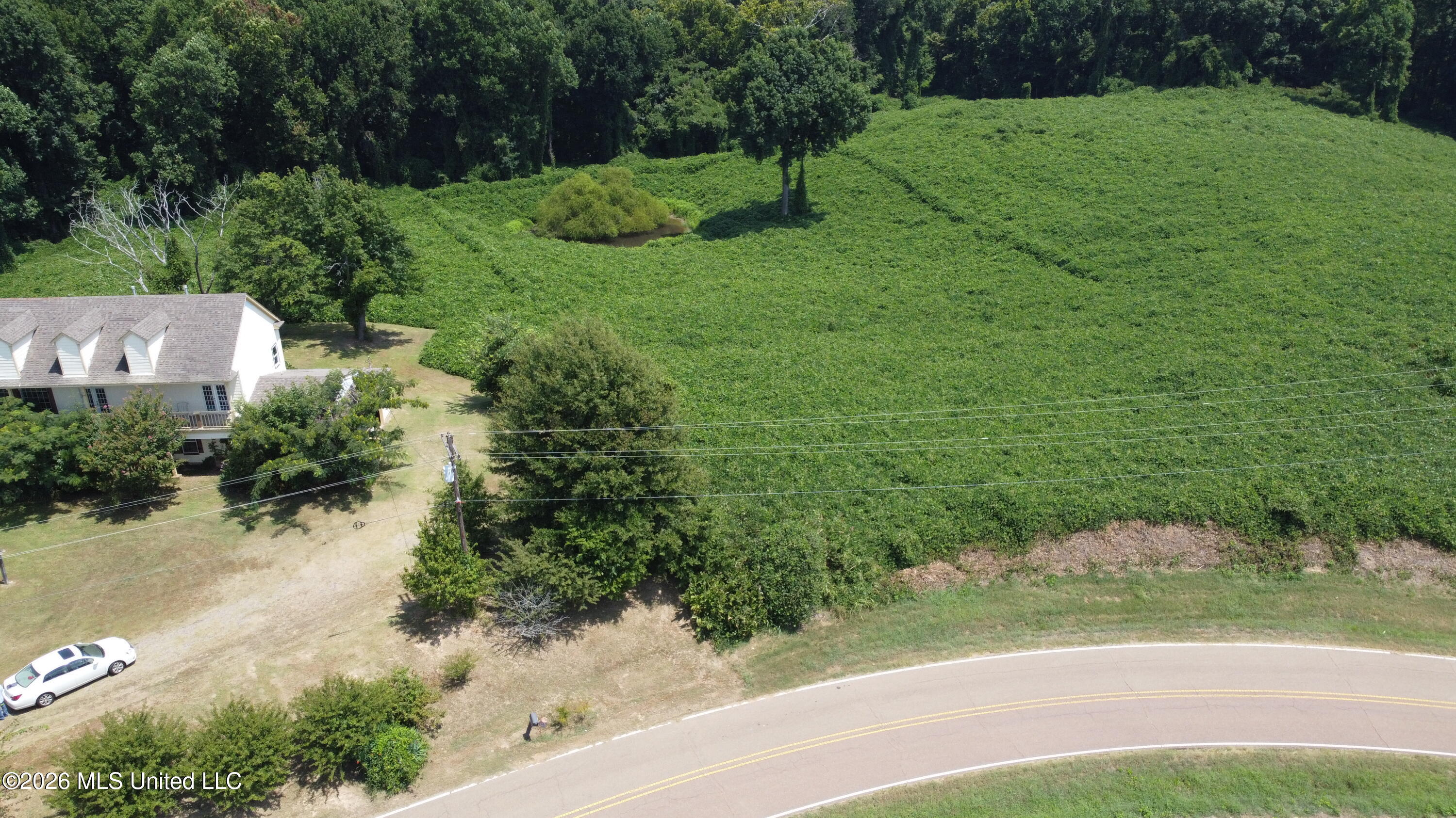 DJI_0541