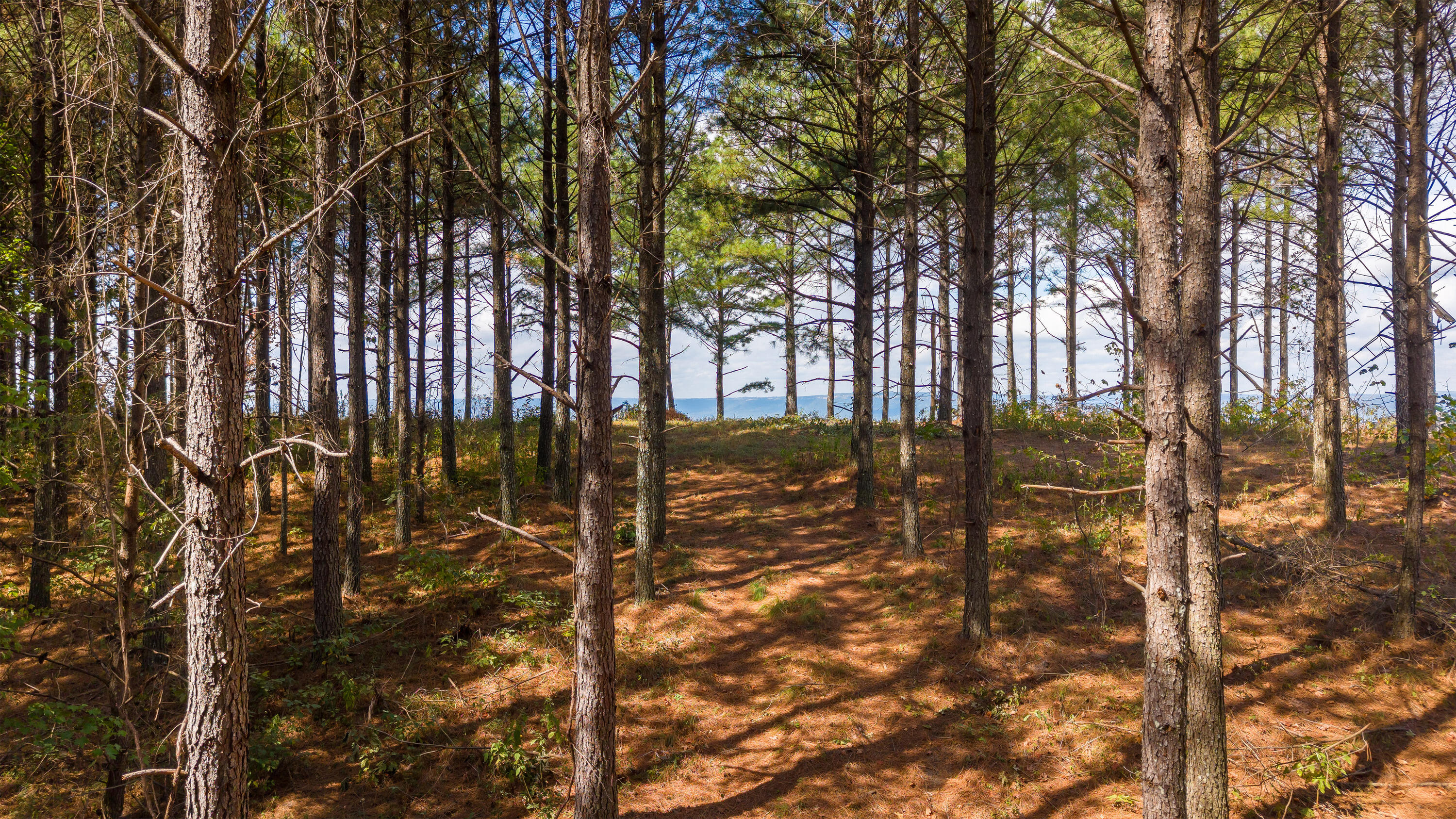 0 Riverbend Road, Unit LOT 2402 Guild, TN 37340 - Photo 21 of 68 2026_09_September_Lot_2402_River_Bend_Rd