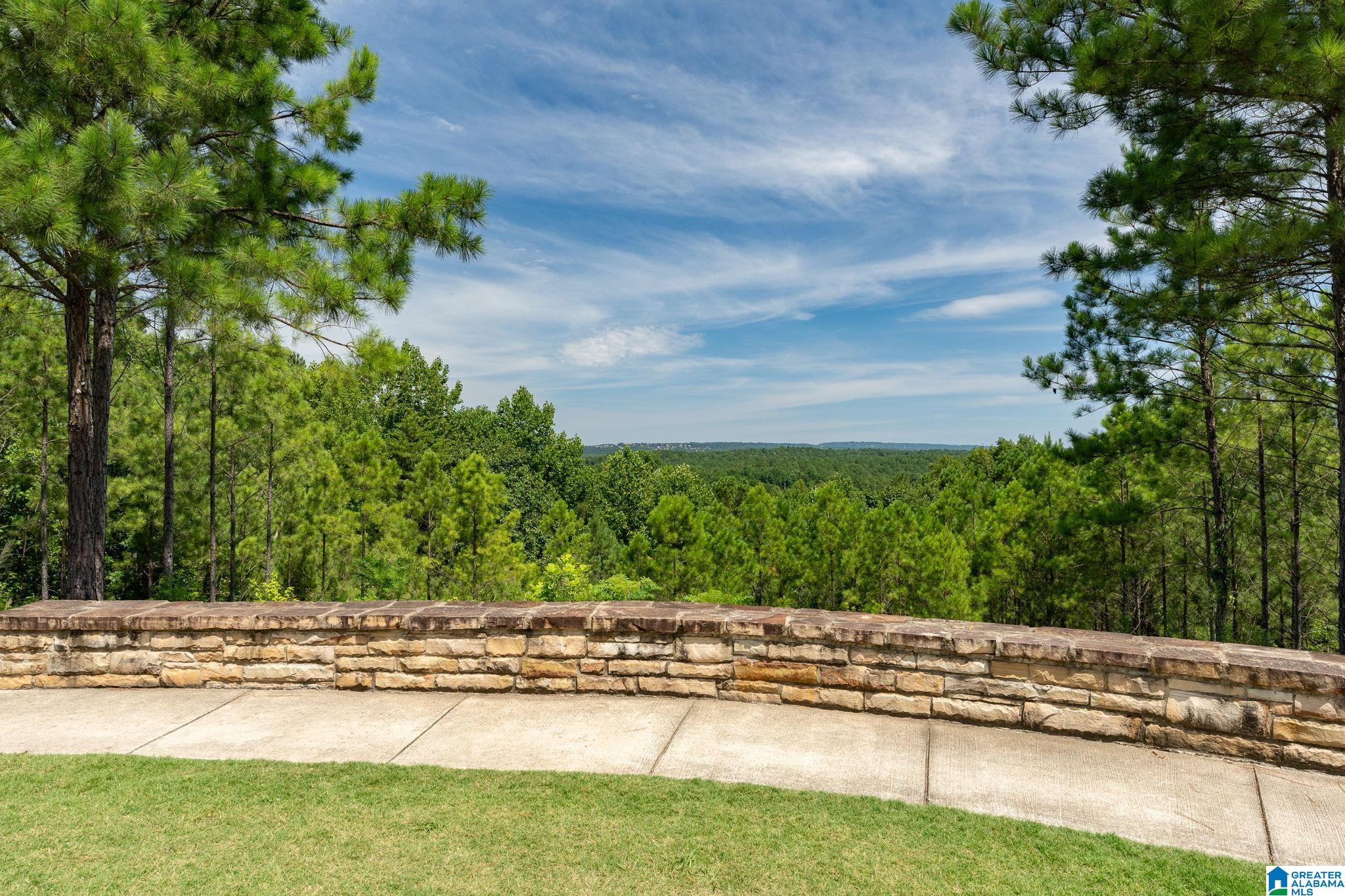 431 Appleford Road Helena, AL 35080 - Photo 47 of 52