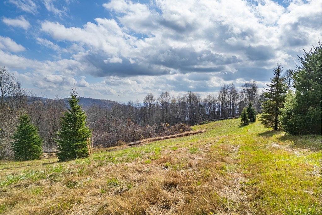 3.8-acre Dogwood Ridge, Unit 2B Fancy Gap, VA 24328 - Photo 32 of 39 Gallery Image 32