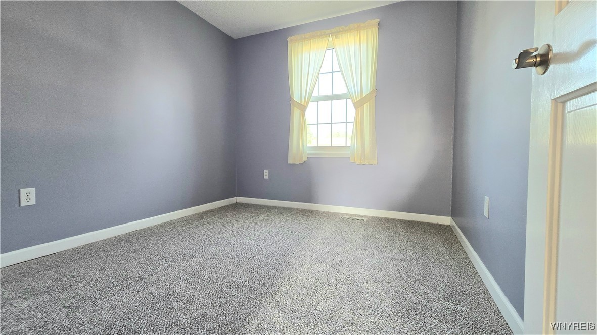 1350 Peppertree Drive Evans, NY 14047 - Photo 28 of 44