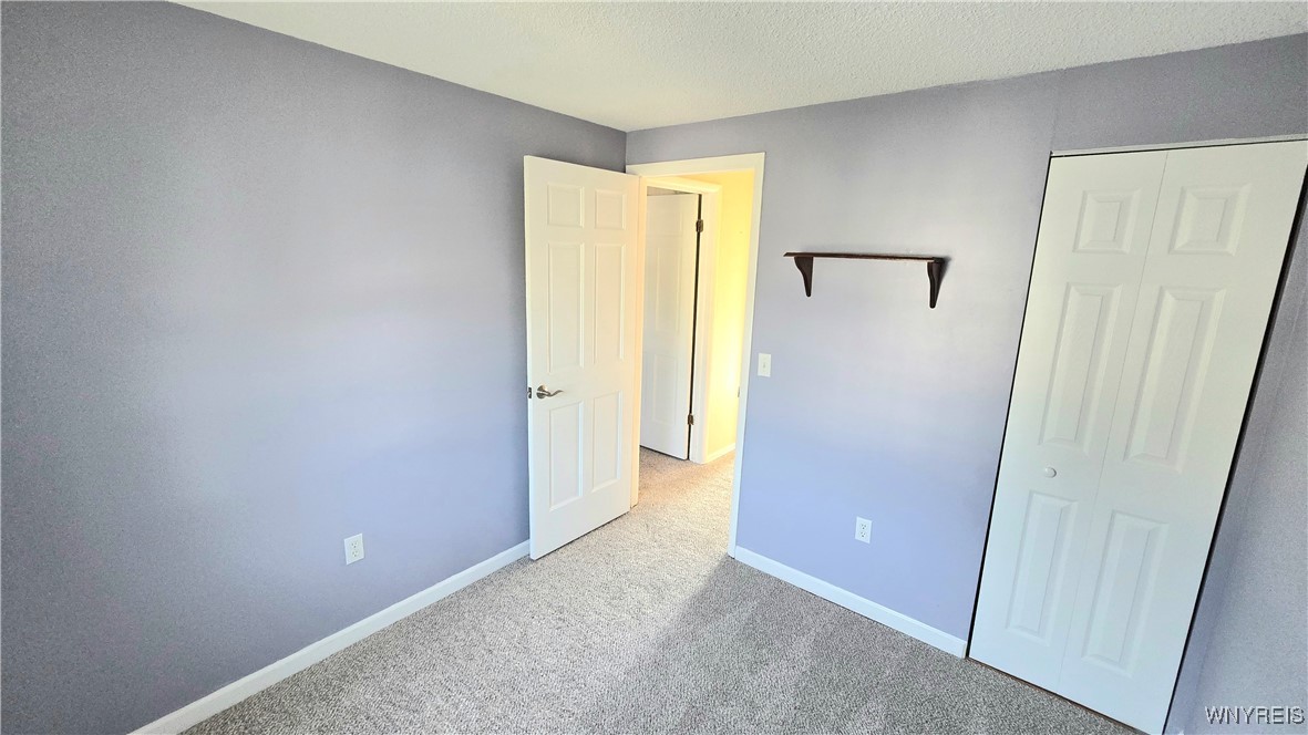 1350 Peppertree Drive Evans, NY 14047 - Photo 29 of 44