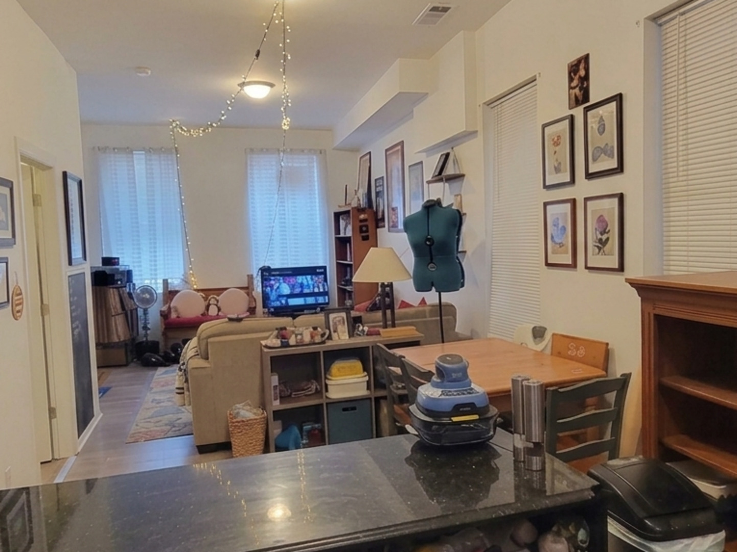 1527 West 18th Place Chicago, IL 60608 - Photo 30 of 39