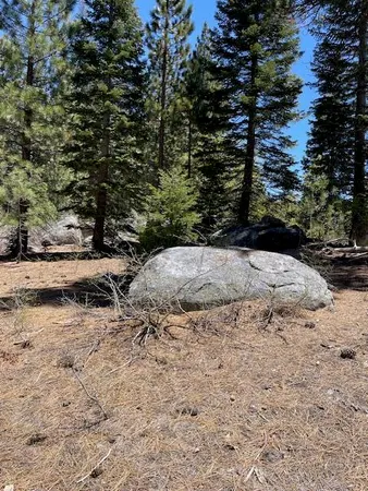 $55,000 | 58303 Carter Drive, Ponderosa, CA 93265
