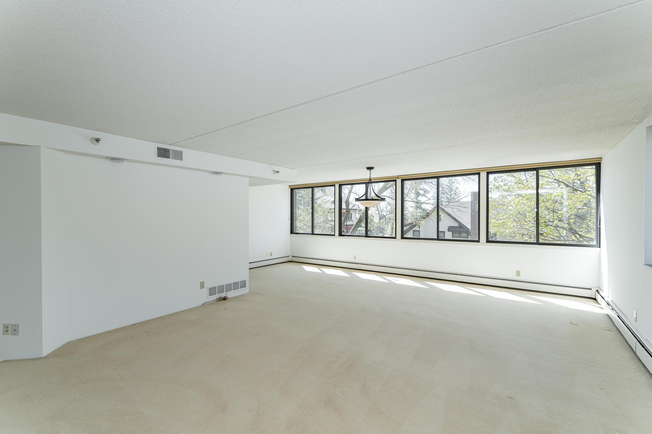 600 4th Street Southwest, Unit 308 Rochester, MN 55902 - Photo 4 of 28