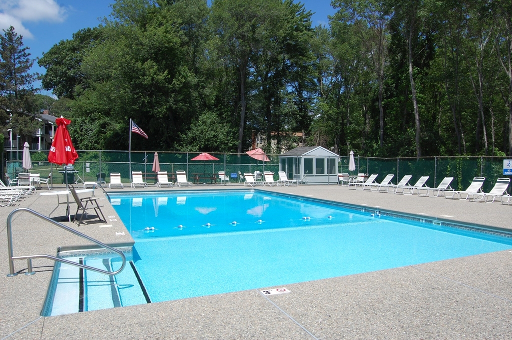 48 Will Drive, Unit 72 Canton, MA 02021 - Photo 18 of 19 a view of swimming pool and lounge chairs
