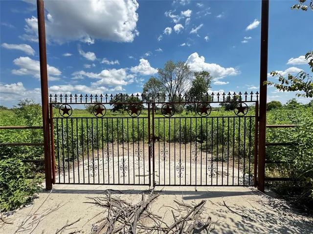 a view of a garden from a garden