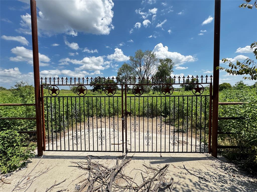a view of a garden from a garden