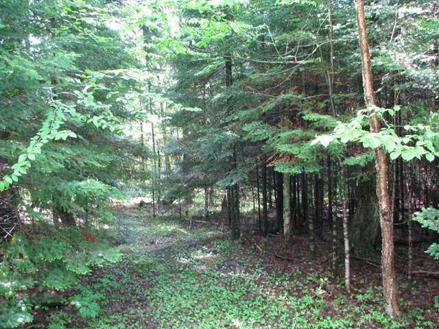 Near2925 Columbus Lake Road Eagle River, WI 54521 - Photo 4 of 7 Gallery Image 4