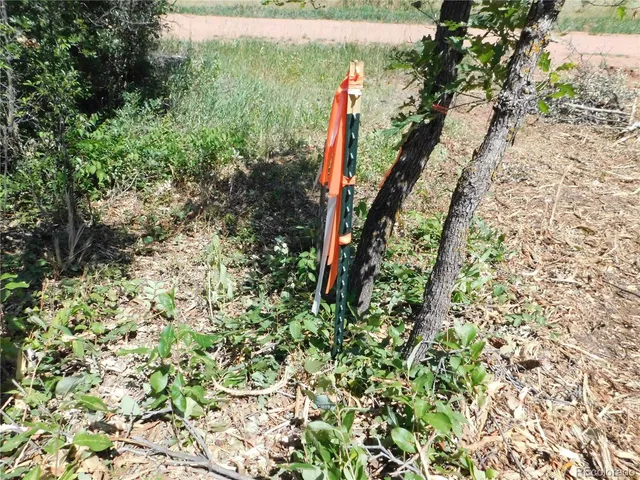 a view of a yard with a tree