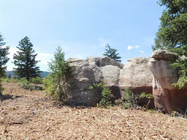 a view of a yard in a yard