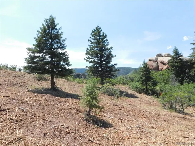 a view of a backyard of snow