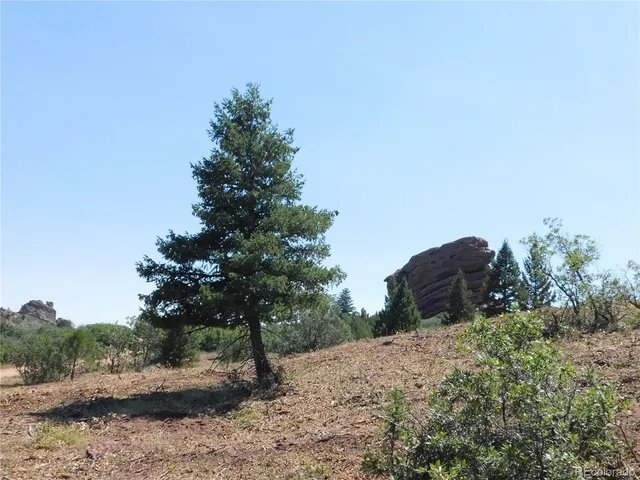 a big yard with lots of green space