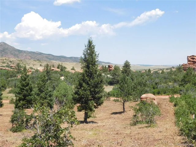 a view of a yard with a tree