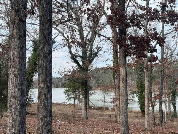 a view of a lake view