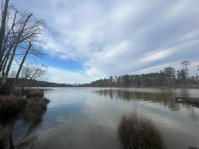 a view of a lake with houses in the back