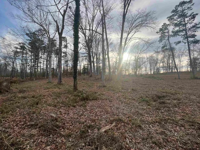 a view of outdoor space with trees