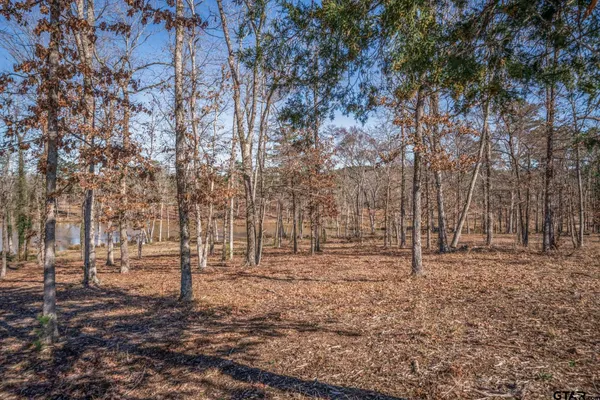 a backyard of a house with lots of trees