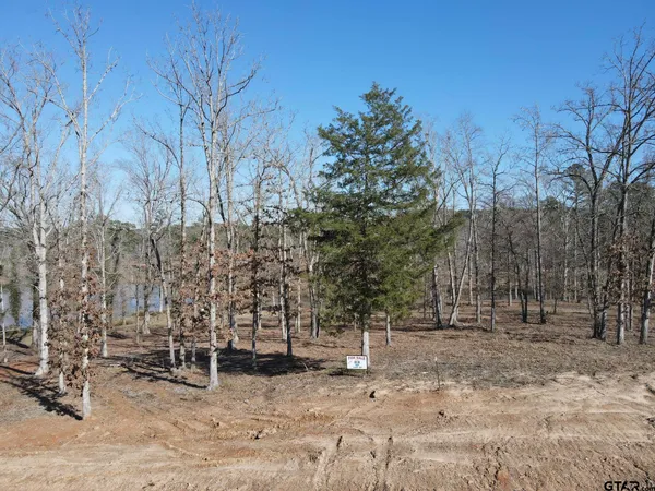 a view of a yard with trees