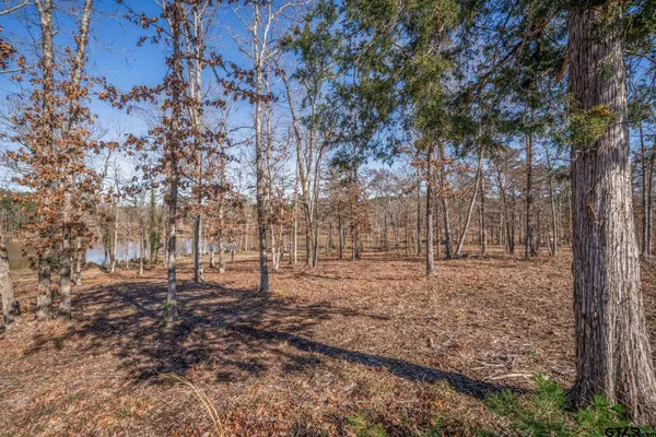 a view of backyard with large trees