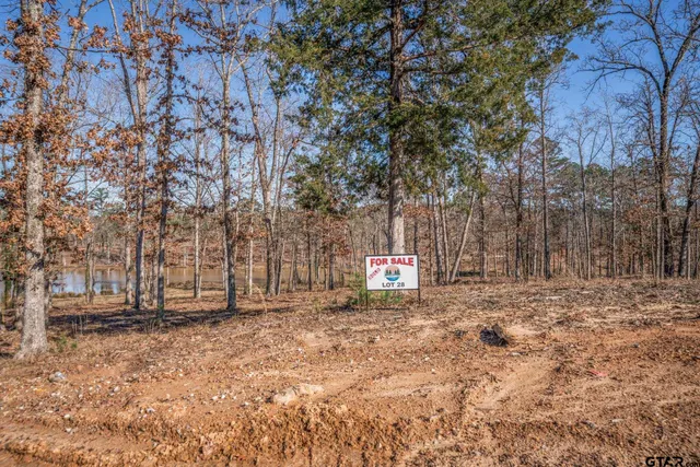 a view of a dry yard with trees in the background