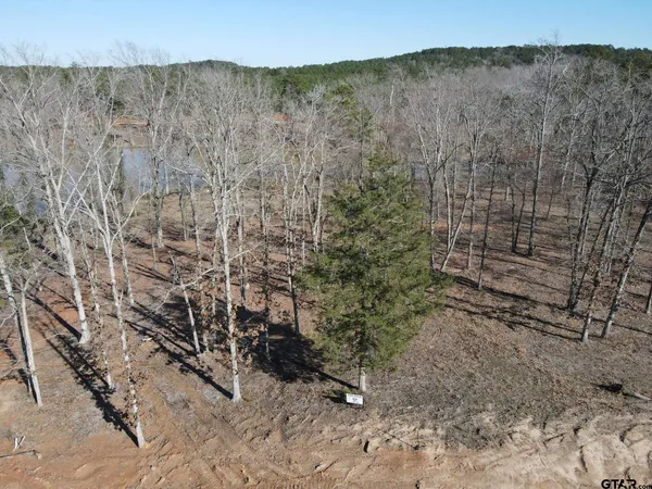 a view of a dry field with trees in the background