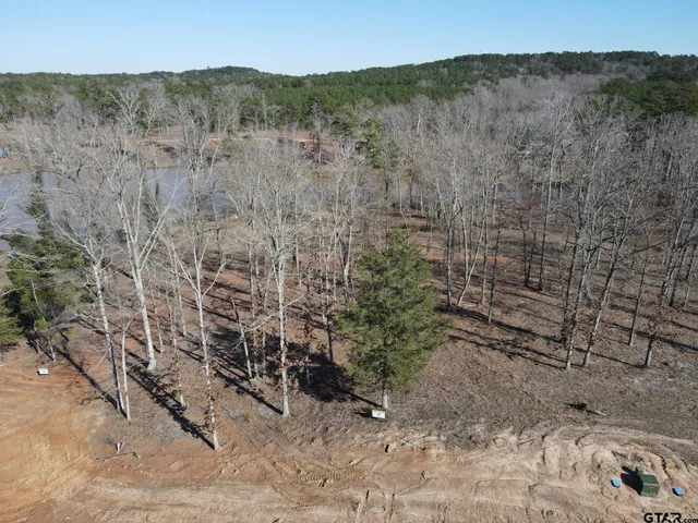 a view of a dry yard with mountain and wooden fence