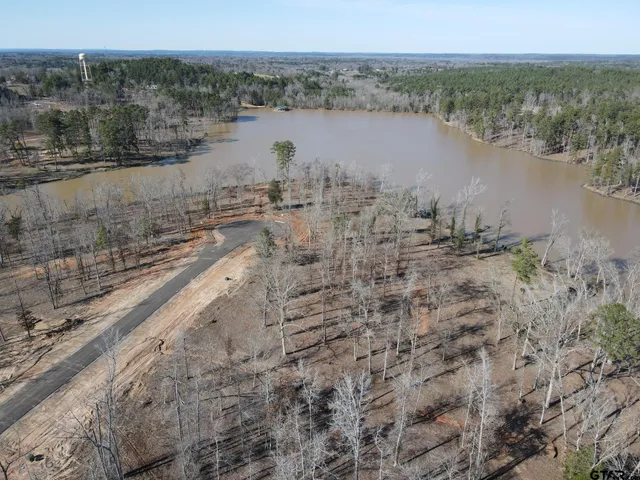 a view of swimming pool with a yard